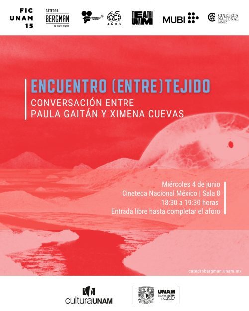 P-Encuentro entretejido FICUNAM15